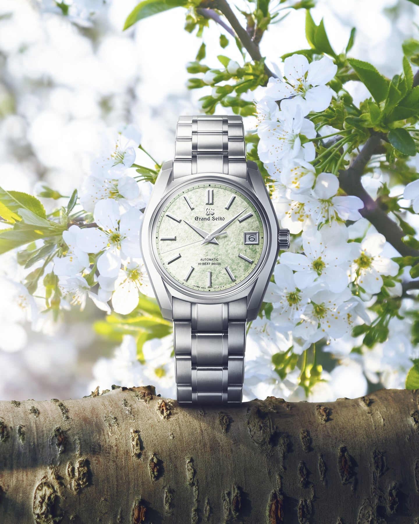 Grand Seiko Heritage Mechanical Hi-Beat 36000 SBGH343 | House of