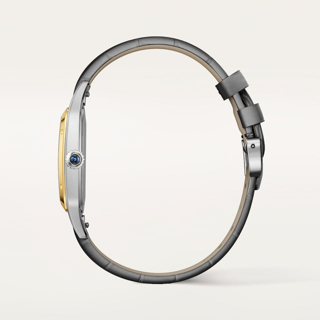 Santos-Dumont watch