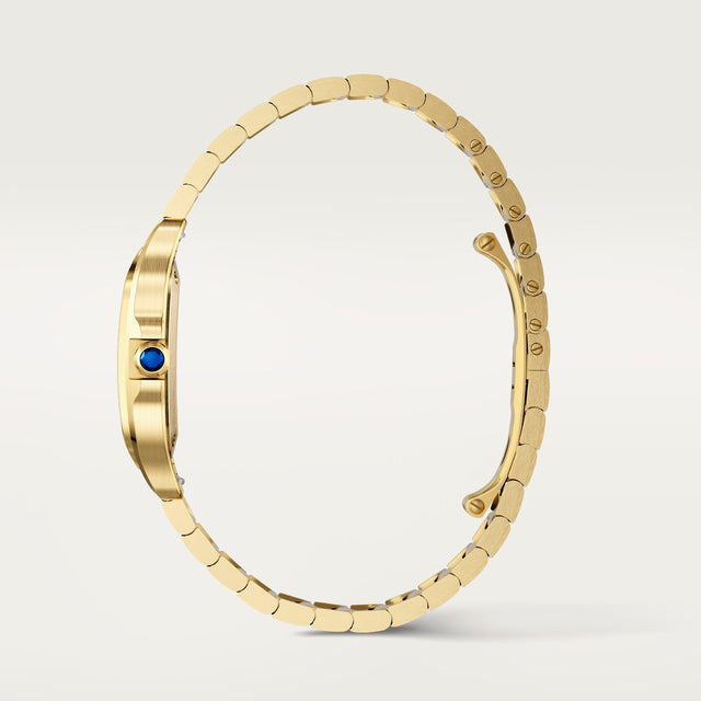 Santos de Cartier watch