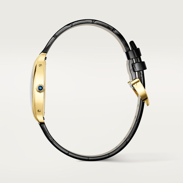 Tortue watch