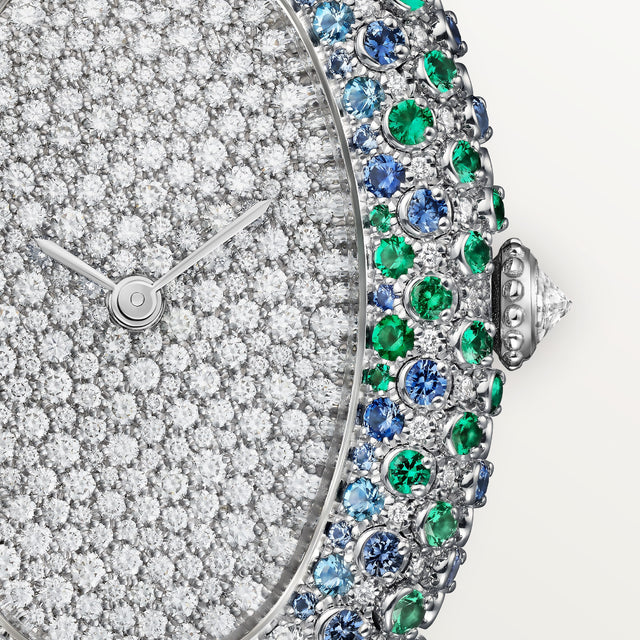 Baignoire watch