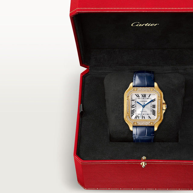 Santos de Cartier watch
