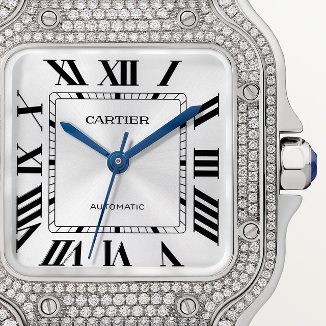 Santos de Cartier watch