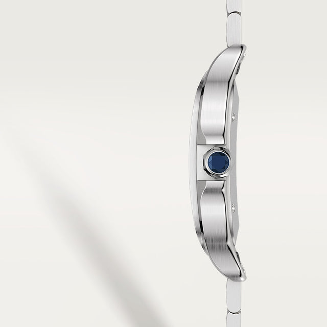 Santos de Cartier watch