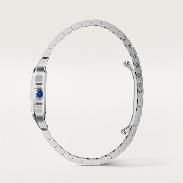 Santos de Cartier watch