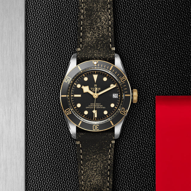 TUDOR Black Bay SG M79733N 0007 Flatlay