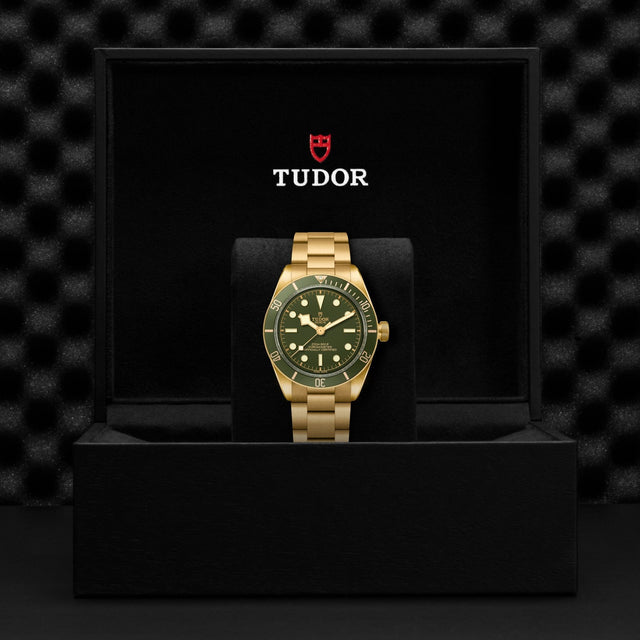 TUDOR Black Bay 58 18K