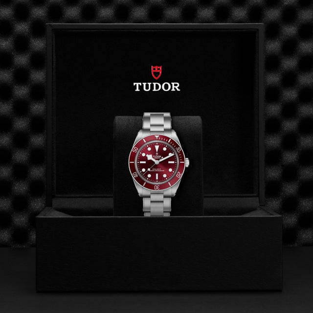 TUDOR Black Bay 58
