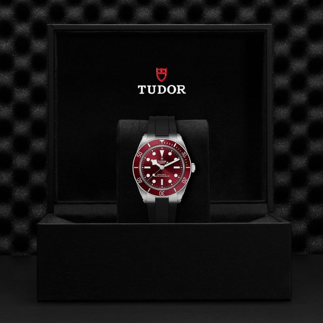 TUDOR Black Bay 58