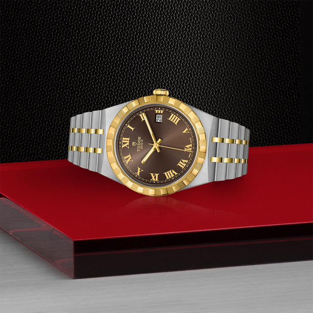 tudor m28503 0007 in store laying down