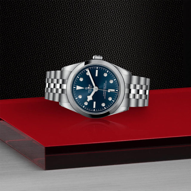 tudor m79640 0005 in store laying down