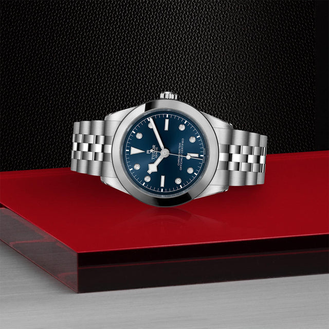 tudor m79660 0005 in store laying down