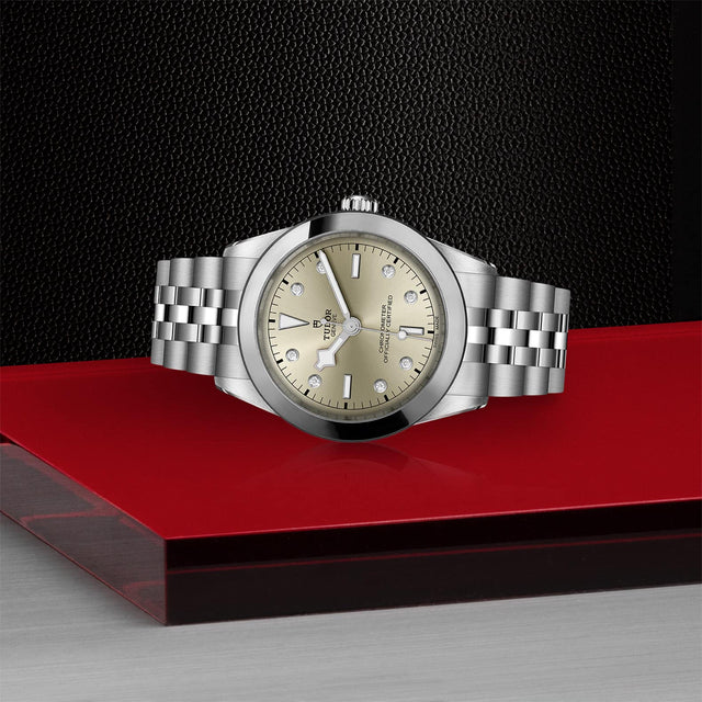 tudor m79660 0006 in store laying down